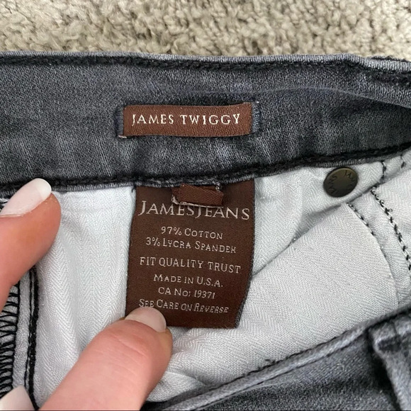 James Jeans Slate James Twiggy Skinny Jeans - Picture 9 of 12